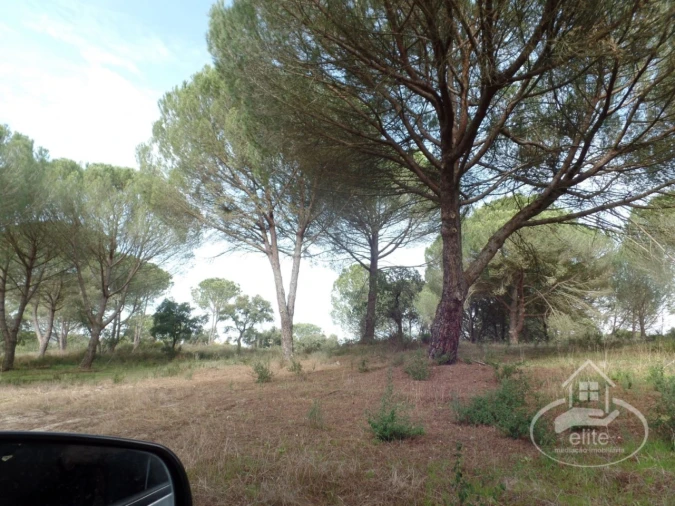 Quinta para Venda em Poceirão e Marateca Foto 19