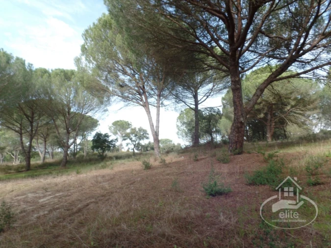 Quinta para Venda em Poceirão e Marateca Foto 25