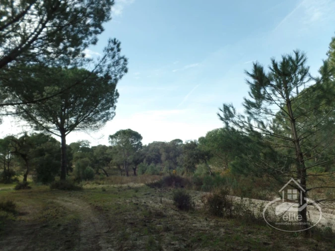 Quinta para Venda em Poceirão e Marateca Foto 26