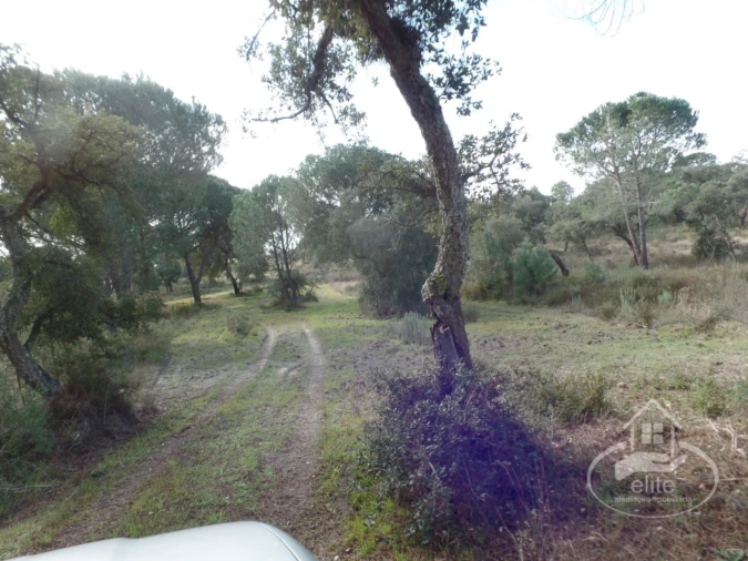 Quinta para Venda em Poceirão e Marateca Foto 28