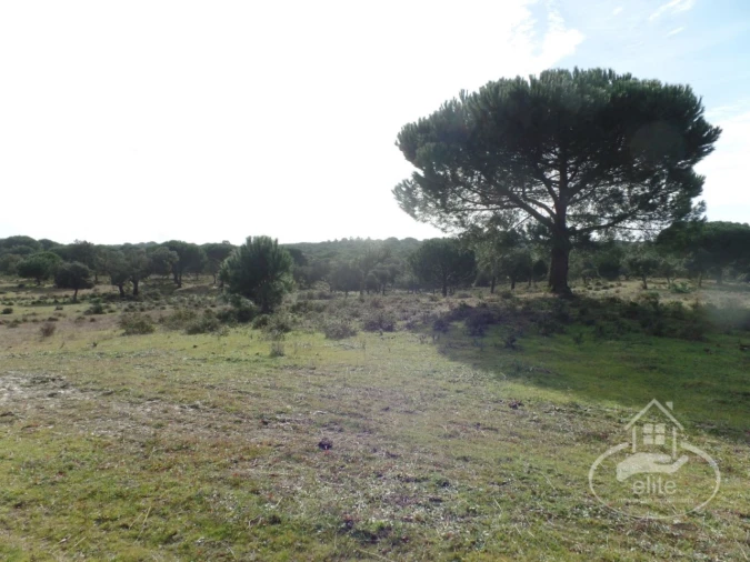 Quinta para Venda em Poceirão e Marateca Foto 34