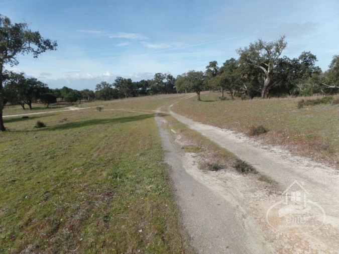 Quinta para Venda em Poceirão e Marateca Foto 36
