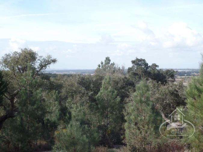 Quinta para Venda em Poceirão e Marateca Foto 38