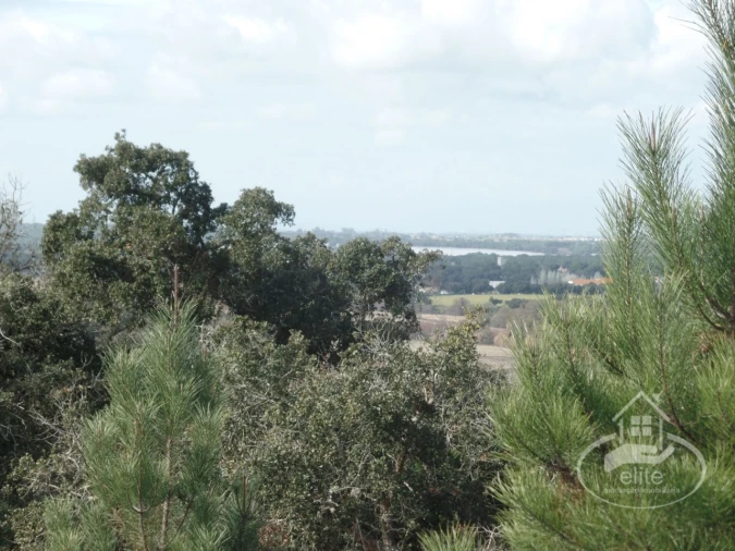 Quinta para Venda em Poceirão e Marateca Foto 39