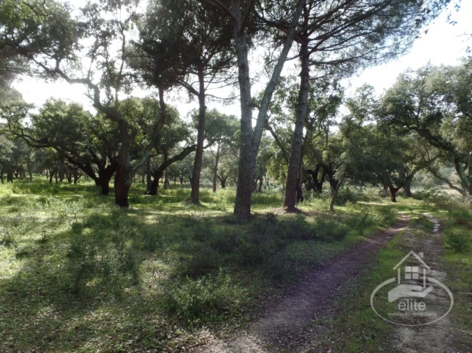 Quinta para Venda em Poceirão e Marateca Foto 43