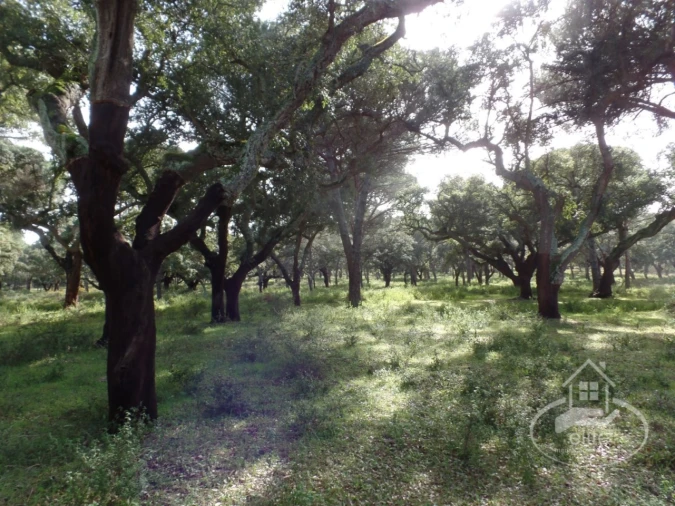 Quinta para Venda em Poceirão e Marateca Foto 44