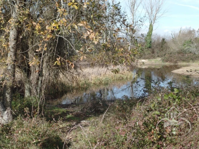 Quinta para Venda em Poceirão e Marateca Foto 46