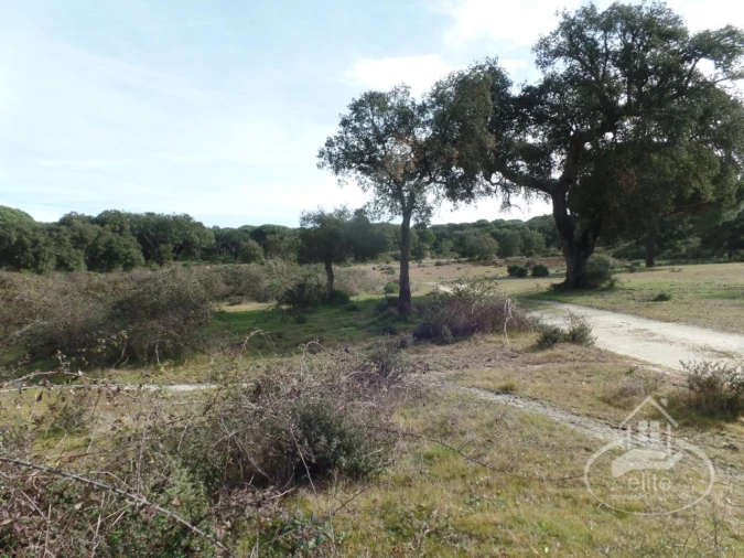 Quinta para Venda em Poceirão e Marateca Foto 48