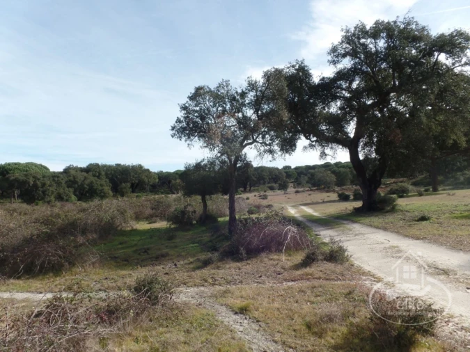 Quinta para Venda em Poceirão e Marateca Foto 50