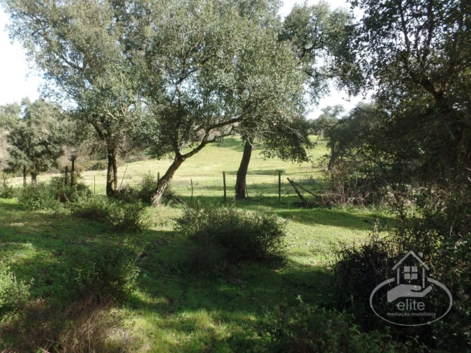 Quinta para Venda em Poceirão e Marateca Foto 57