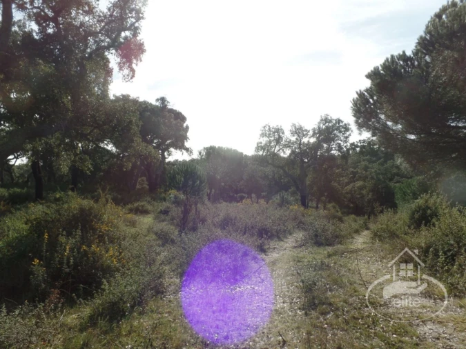 Quinta para Venda em Poceirão e Marateca Foto 60