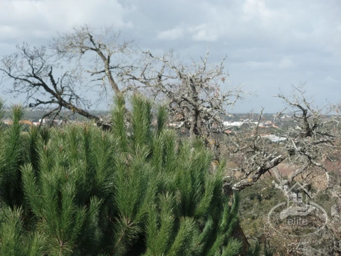 Quinta para Venda em Poceirão e Marateca Foto 64
