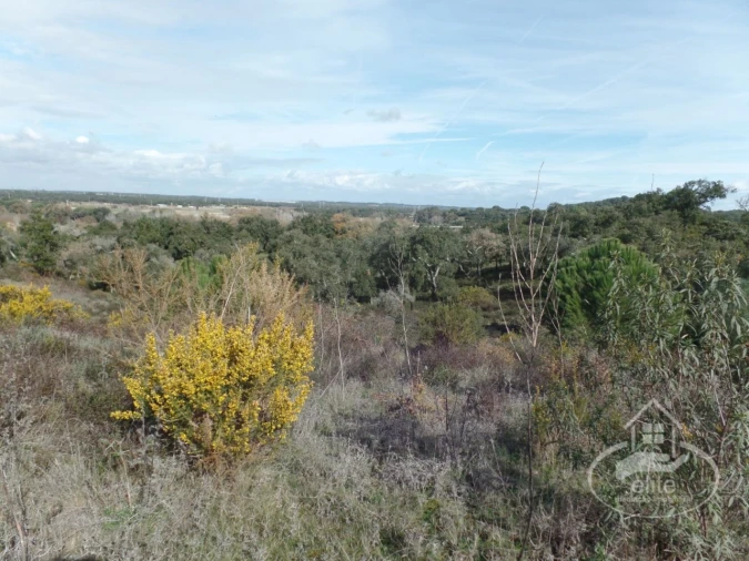 Quinta para Venda em Poceirão e Marateca Foto 71