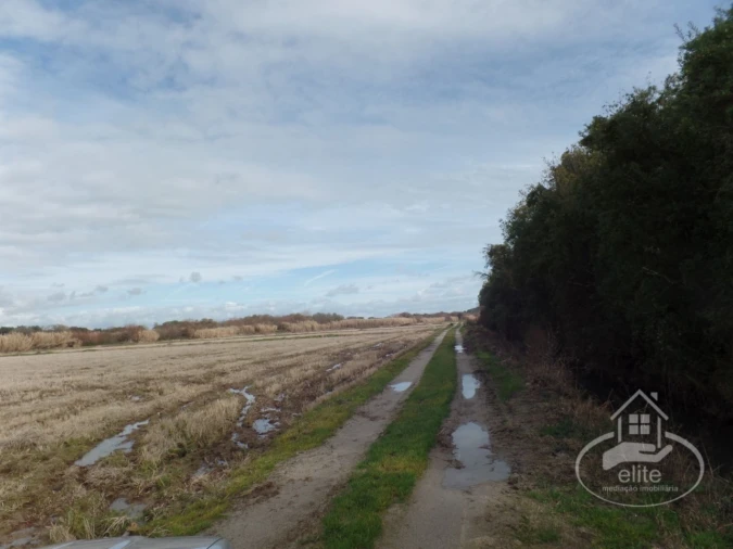 Quinta para Venda em Poceirão e Marateca Foto 82