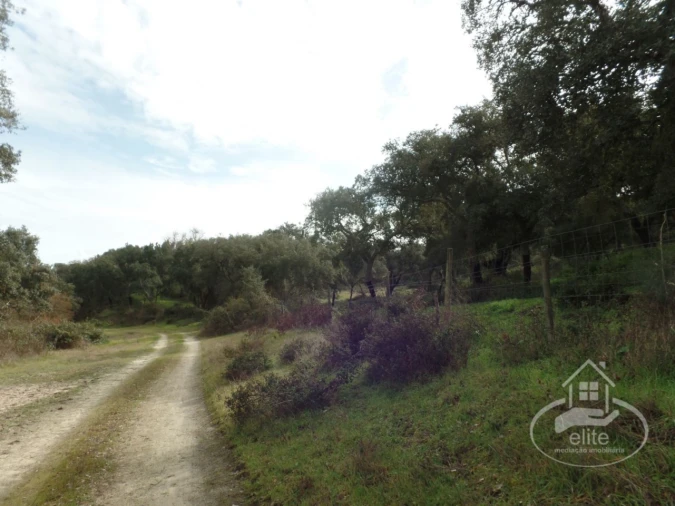 Quinta para Venda em Poceirão e Marateca Foto 87