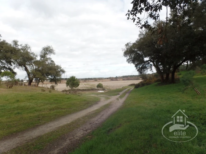 Quinta para Venda em Poceirão e Marateca Foto 90