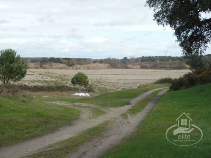 Quinta para Venda em Poceirão e Marateca Foto 91