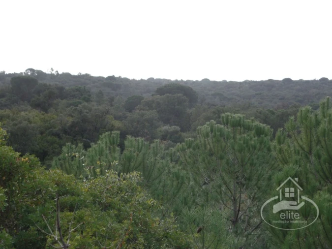Quinta para Venda em Poceirão e Marateca Foto 103