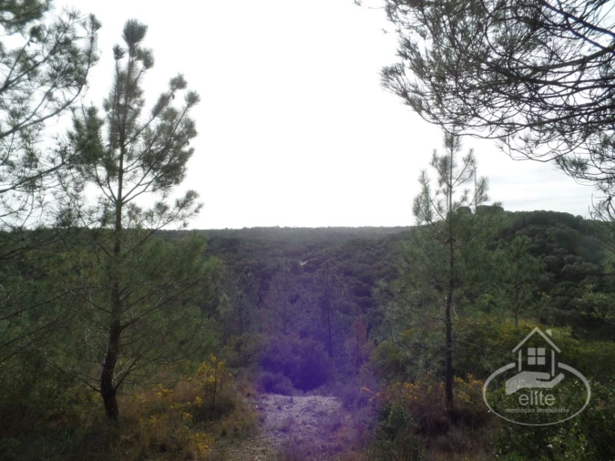 Quinta para Venda em Poceirão e Marateca Foto 106