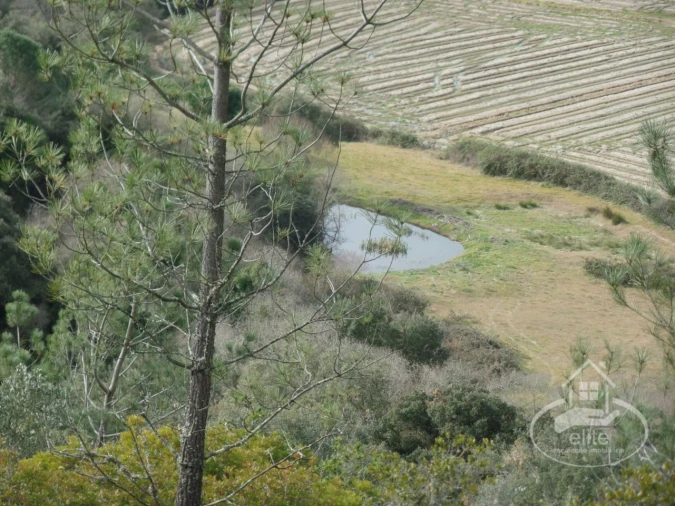 Quinta para Venda em Poceirão e Marateca Foto 109