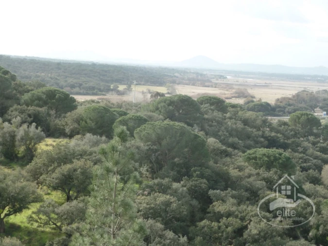 Quinta para Venda em Poceirão e Marateca Foto 111