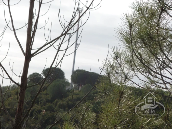 Quinta para Venda em Poceirão e Marateca Foto 115