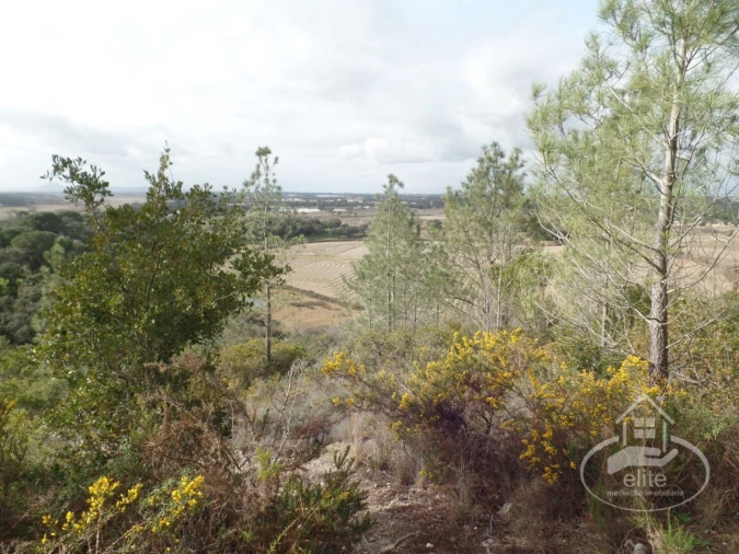 Quinta para Venda em Poceirão e Marateca Foto 117