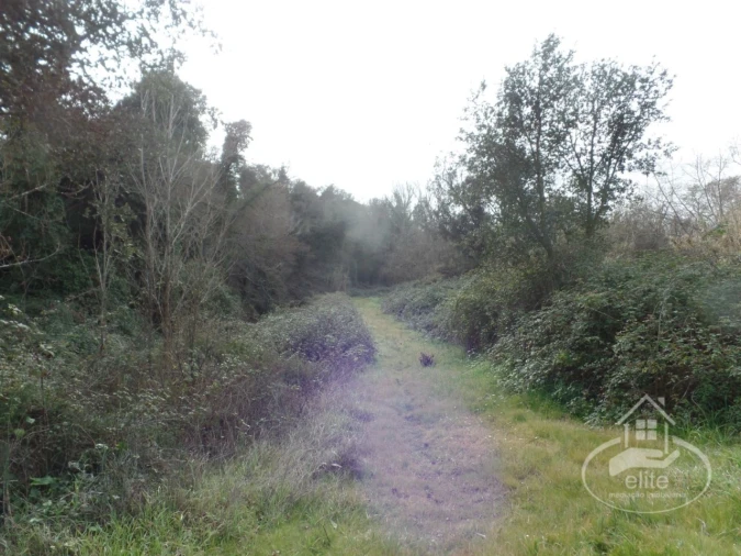 Quinta para Venda em Poceirão e Marateca Foto 119