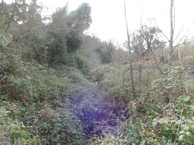 Quinta para Venda em Poceirão e Marateca Foto 120