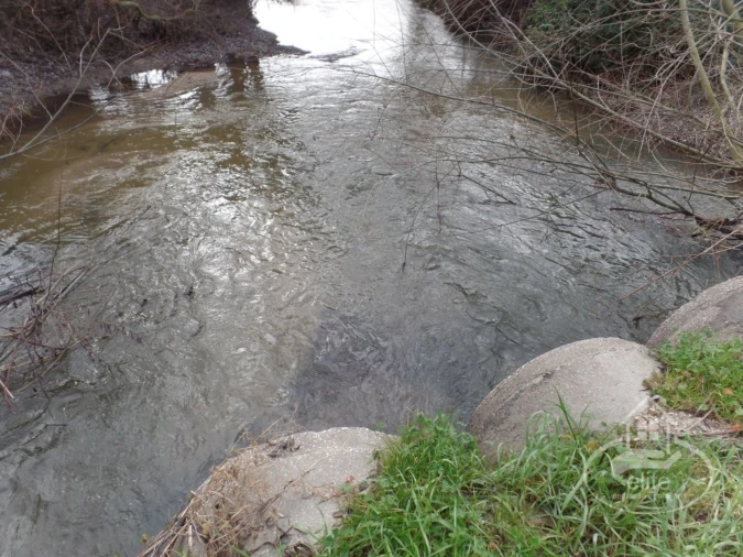 Quinta para Venda em Poceirão e Marateca Foto 122