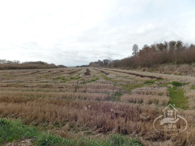 Quinta para Venda em Poceirão e Marateca Foto 123