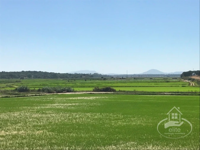 Quinta para Venda em Poceirão e Marateca Foto 2