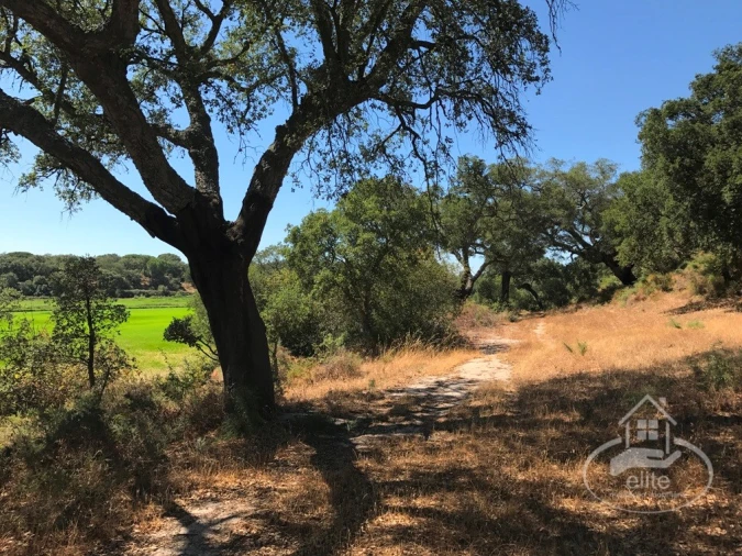 Quinta para Venda em Poceirão e Marateca Foto 128