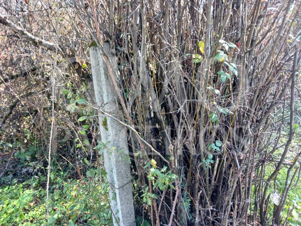 Terreno para Venda em Sangalhos Foto 5