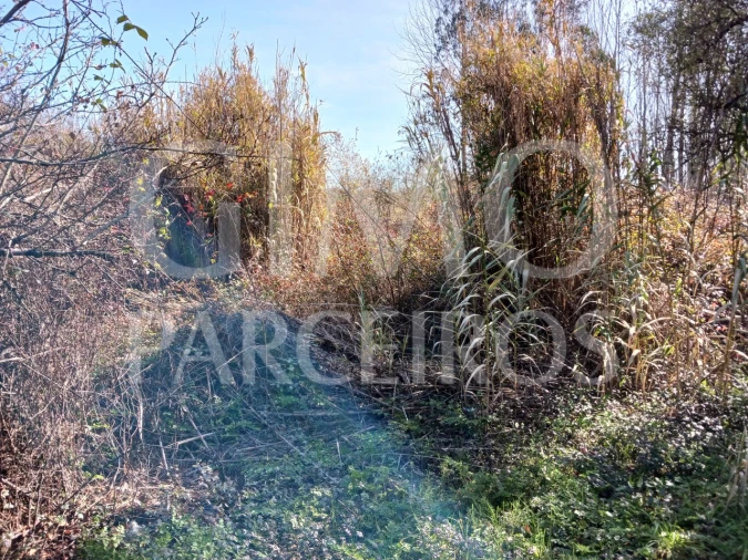 Terreno para Venda em Sangalhos Foto 9