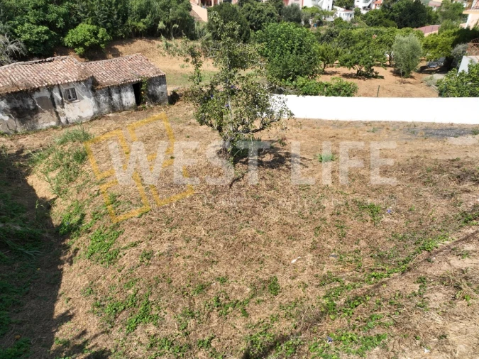 Terreno Agricola ou Rústico para Venda em Turcifal Foto 9