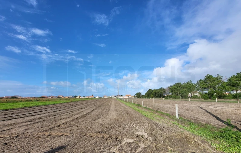 Terreno para Venda em Gafanha da Boa Hora Foto 1