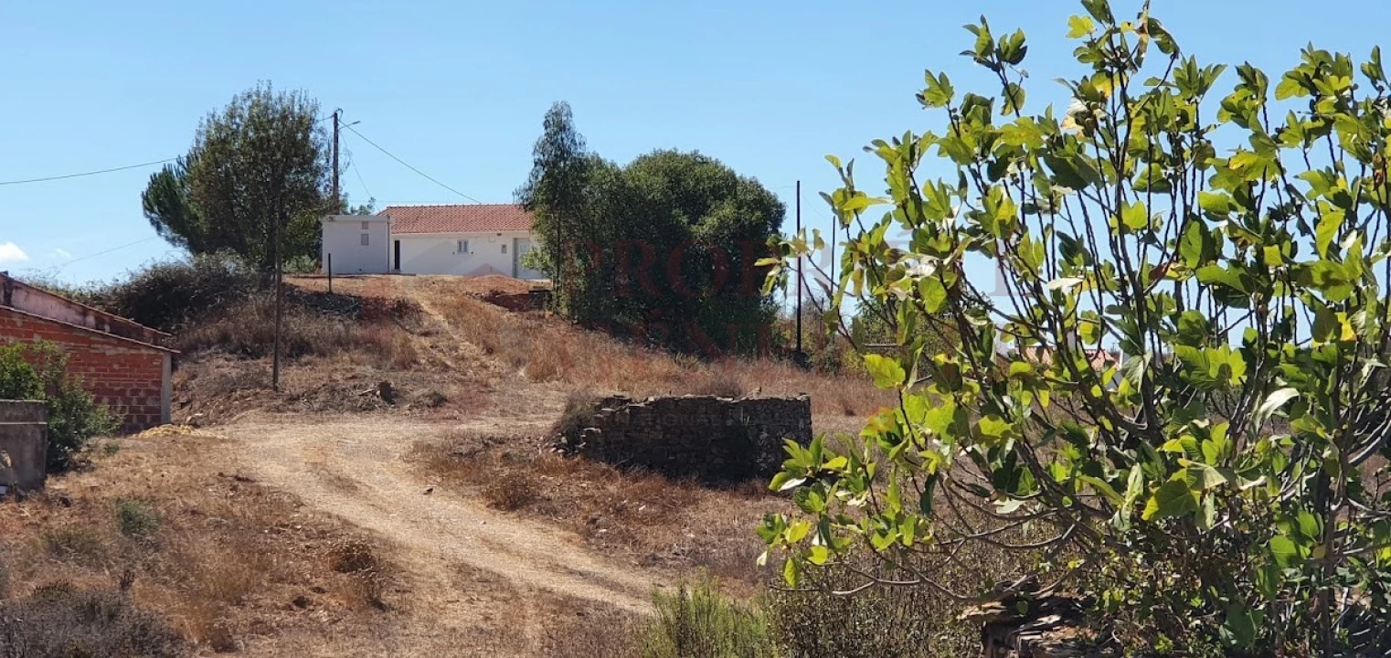 Quinta T2 para Venda em São Barnabe Foto 33