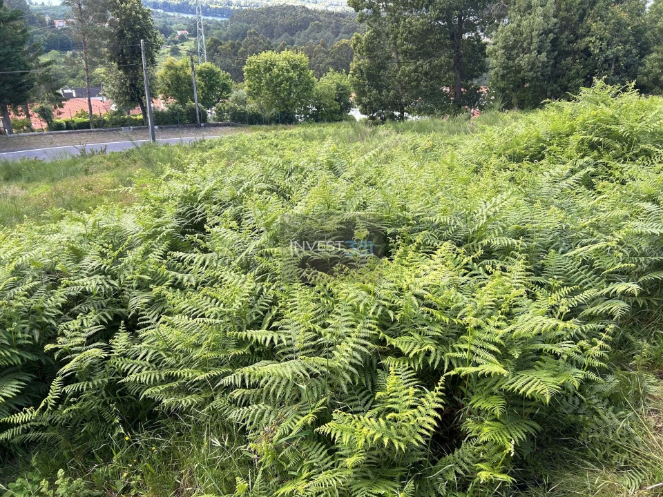 Terreno para Venda em Sopo Foto 13