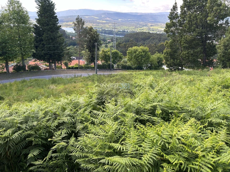 Terreno para Venda em Sopo Foto 6