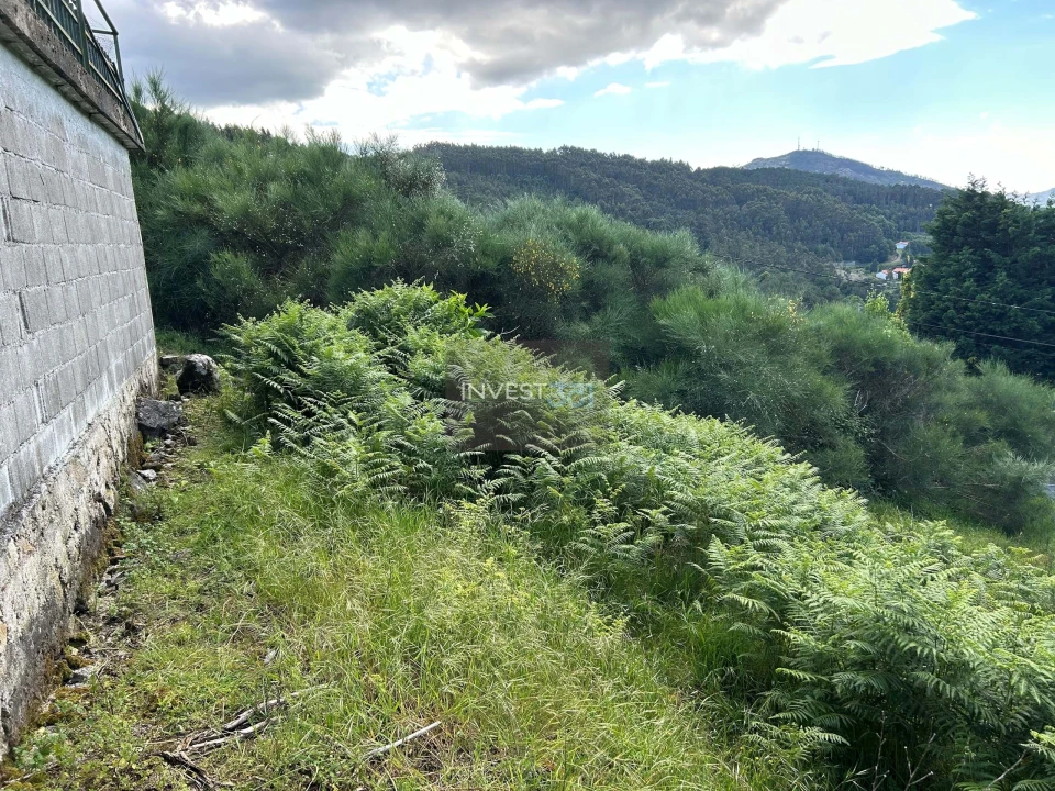 Terreno para Venda em Sopo Foto 10