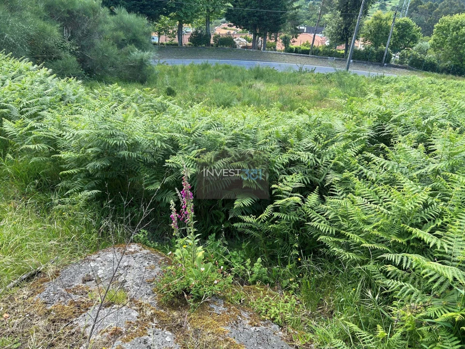 Terreno para Venda em Sopo Foto 12