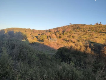 Terreno para Venda em Barão de São Miguel