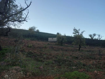 Terreno para Venda em Barão de São Miguel