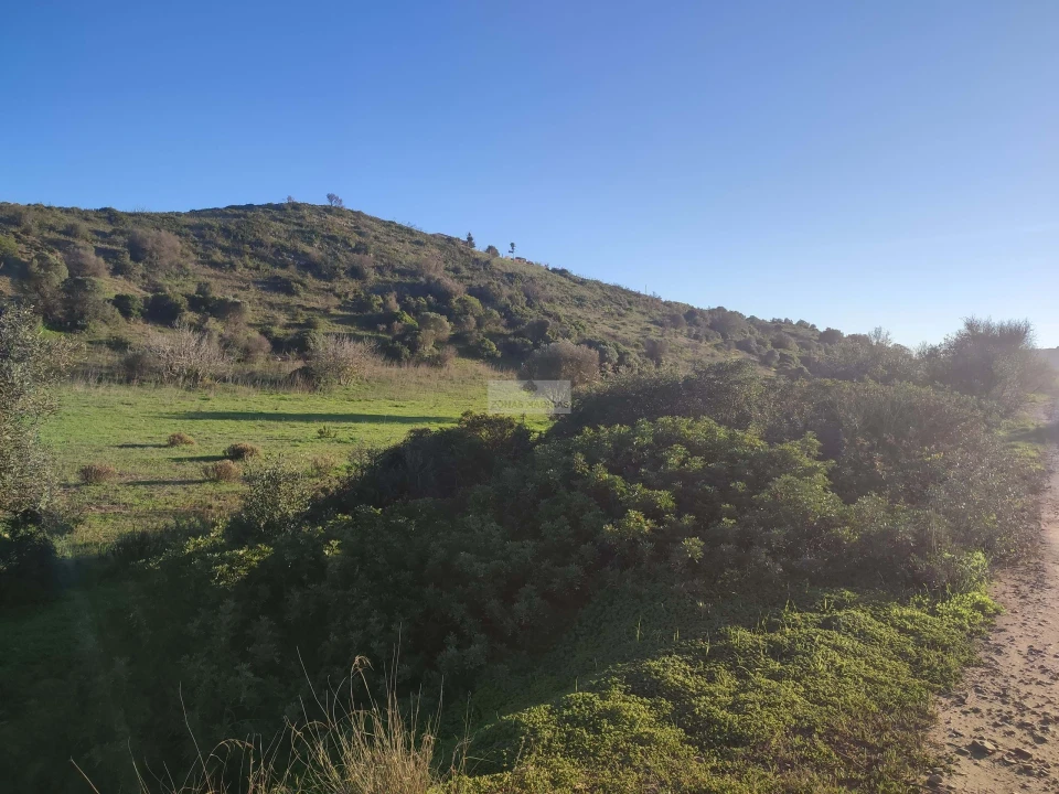 Terreno para Venda em Barão de São Miguel Foto 1