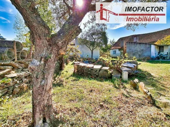 Terreno para Venda em Vila Velha de Rodão Foto 11