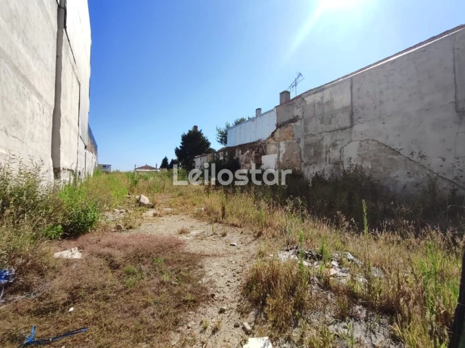 Terreno P/ Prédio para Venda em Oliveira do Douro Foto 5