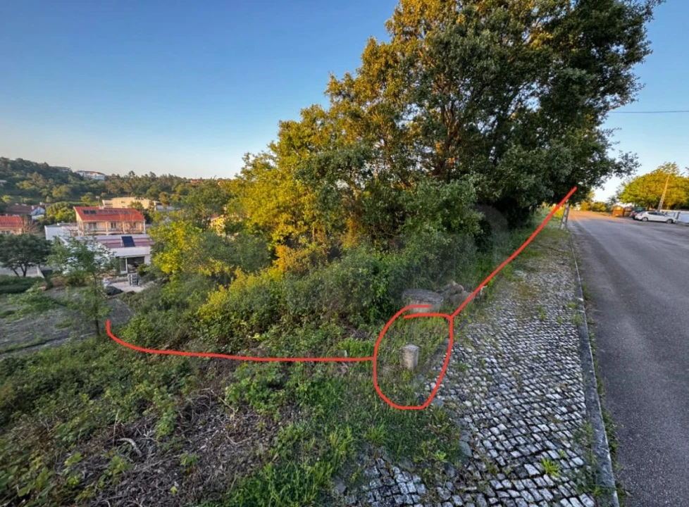 Terreno para Venda em São João Baptista e Santa Maria dos Olivais Foto 1