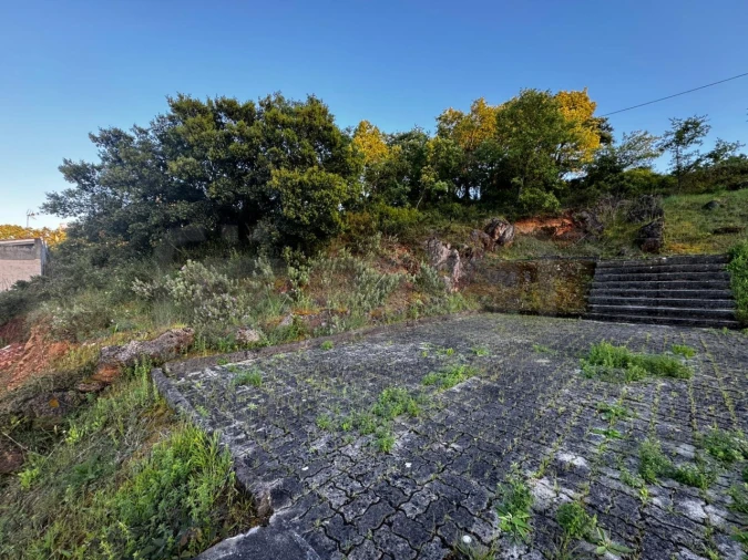 Terreno para Venda em São João Baptista e Santa Maria dos Olivais Foto 6