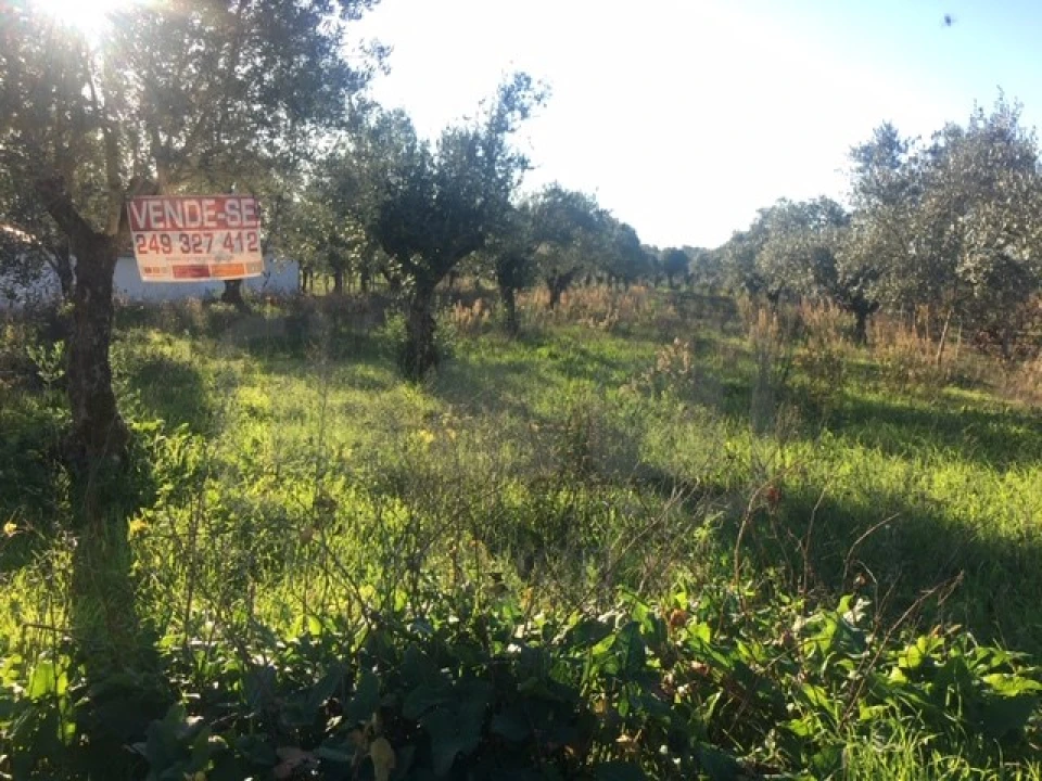 Terreno Agricola ou Rústico para Venda em Serra e Junceira Foto 12